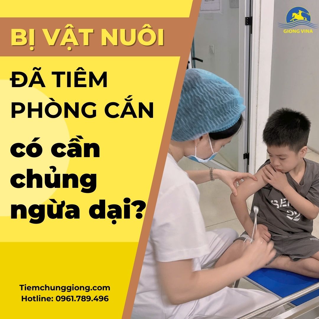 Bị vật nuôi đã tiêm phòng cắn, có cần chủng ngừa dại?