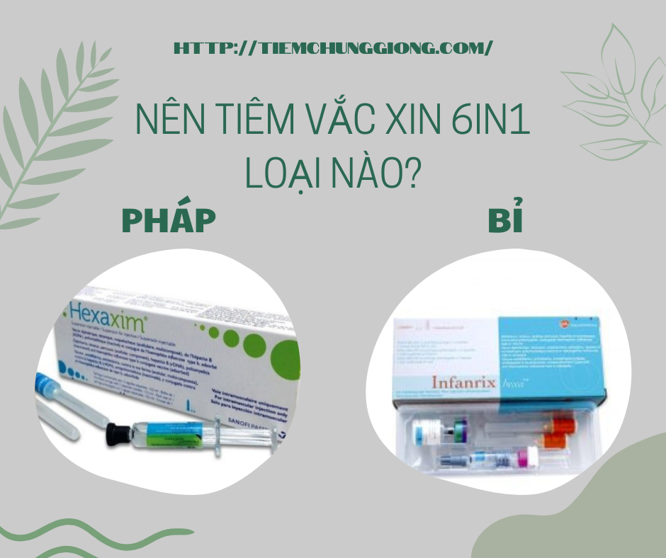 NÊN TIÊM VẮC XIN 6IN1 CỦA PHÁP HAY BỈ? 