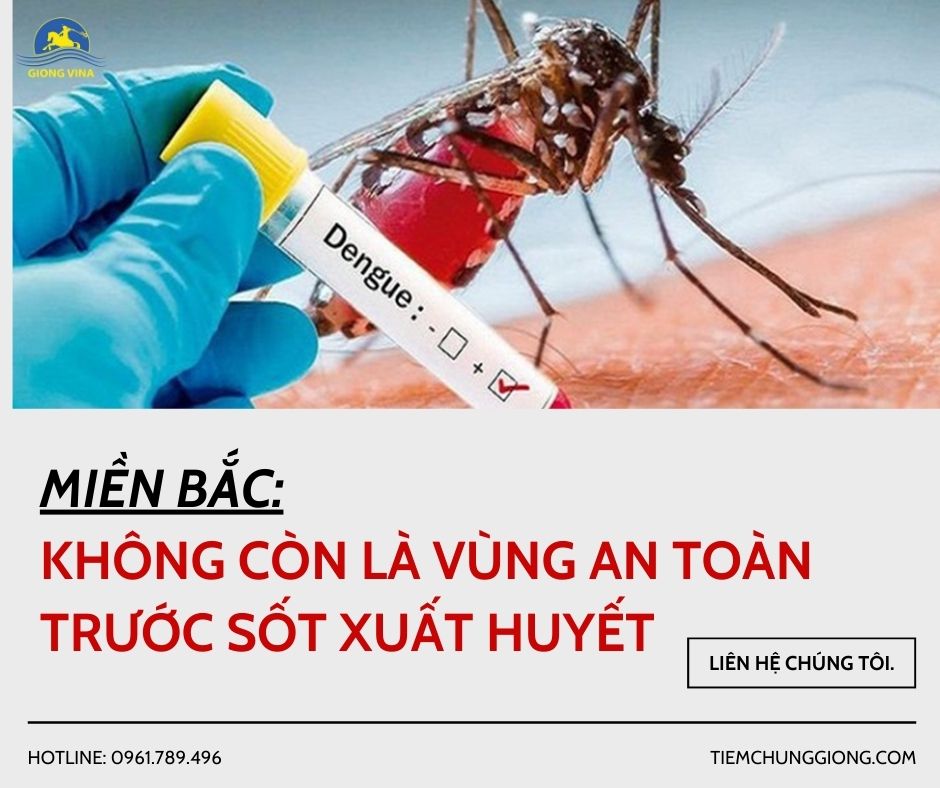 Miền Bắc: Không còn là vùng an toàn trước sốt xuất huyết