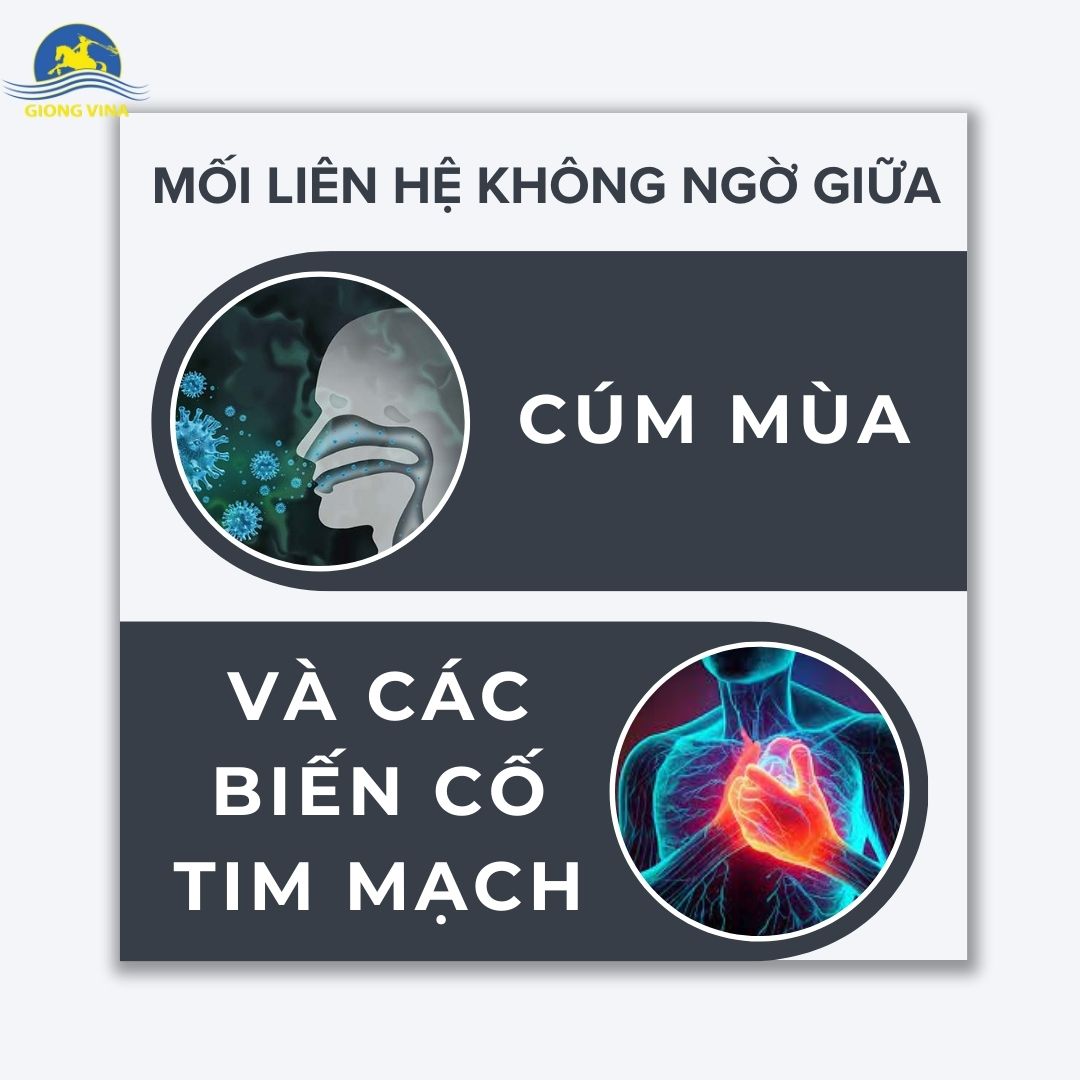 Mối liên hệ không ngờ giữa cúm và các biến cố tim mạch