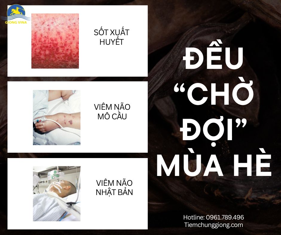 SỐT XUẤT HUYẾT, VIÊM NÃO MÔ CẦU, VIÊM NÃO NHẬT BẢN… ĐỀU “CHỜ ĐỢI” MÙA HÈ!