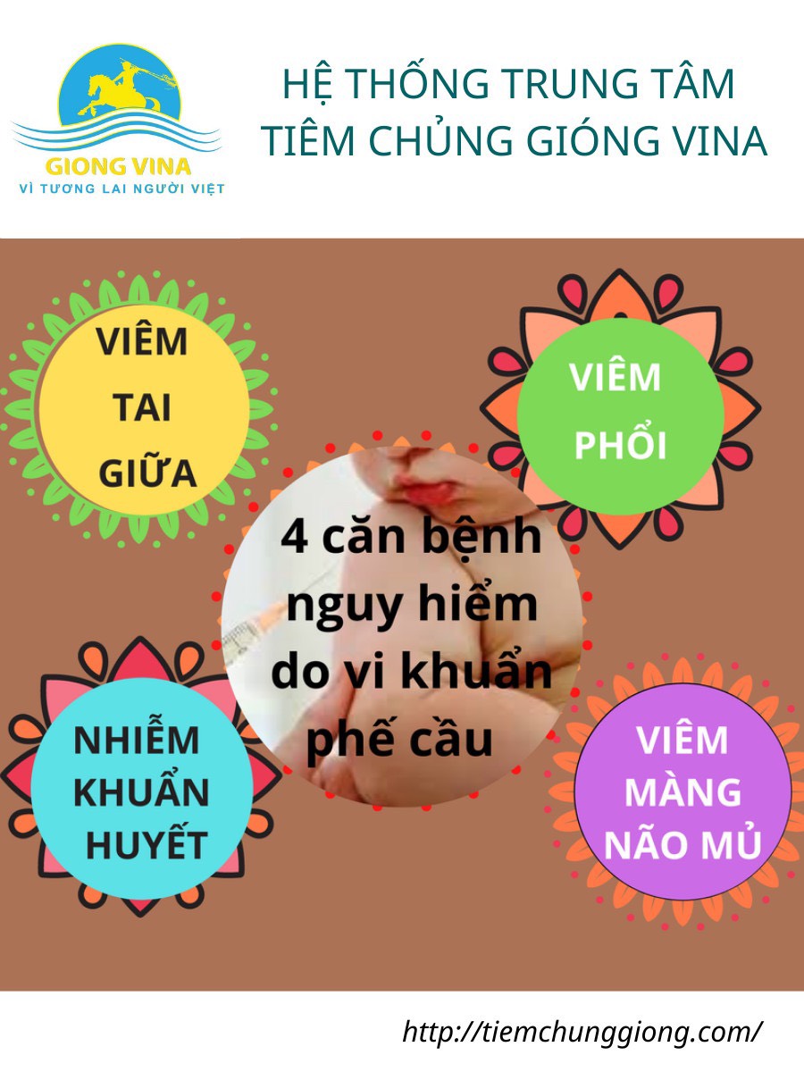 NHỮNG BỆNH NGUY HIỂM DO PHẾ CẦU KHUẨN GÂY RA, CÁCH PHÒNG NGỪA